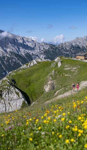 Der Gipfel des Glücks für Körper und Seele